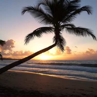 Marie Blue Passion, Travel Planner Alsace, Antilles, Europe | Event Planner