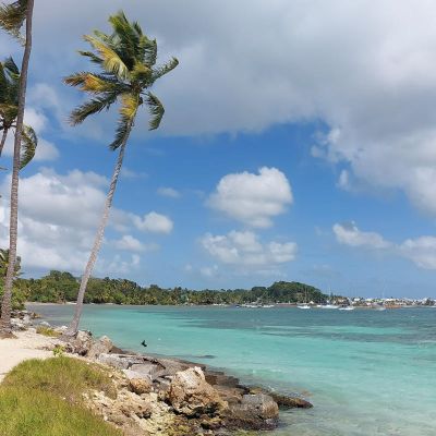 Marie Blue Passion, Travel Planner  Antilles